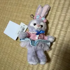 ステラルー ぬいぐるみバッジ 2019 ディズニーダッフィー&フレンズダッフィー