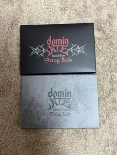StrayKids フォトカードセット　domin ATE 2種セット