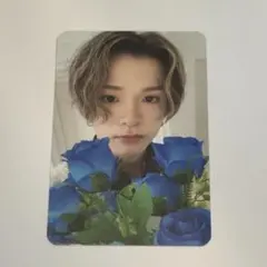 TREASURE アサヒ ナイトガーデン トレカ