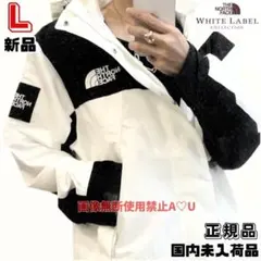 韓国　正規品　ノースフェイス　L マウンテンジャケット　ブルゾン　新品　パーカー