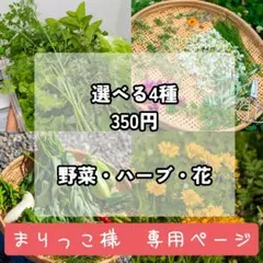 まりっこ様　専用ページ
