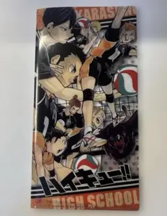 ハイキュー ★チケットホルダー チケットファイル 音駒 烏野