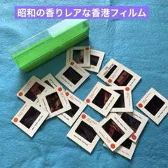 ◆ 希少 昭和 レトロ ビンテージ スライド フィルム ファイル ボックス ◆ R-1809 スライドフィルム ガラス付き - LITTLE BEE リトルビー