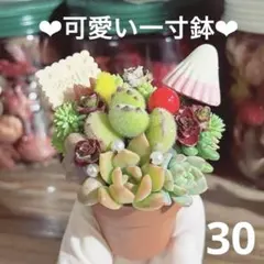 30♥‬可愛い1寸鉢❤︎多肉植物❤︎ミニ寄せ植え❤︎そのまま飾れる❤︎