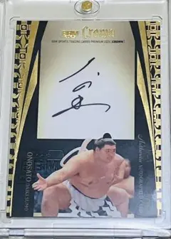 Item thumbnail for item 2f3867a0-8a92-4914-878f-38634b78ef4c