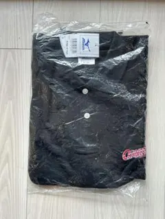 Item thumbnail for item 2ef2df10-ee92-4dda-81b5-78ae8d6a35bf