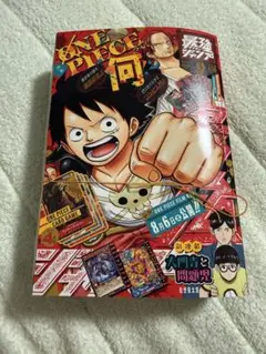 週刊少年ジャンプ 2005年 非売品 トランプ オールスター ハンター