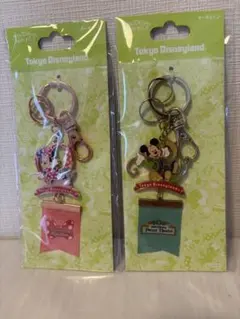 ☆新品未使用☆東京ディズニーランド キーホルダーセット