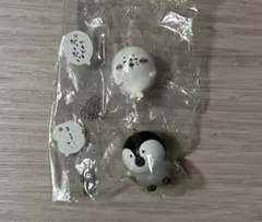 ナガノアザラシ