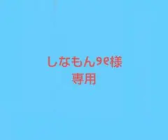 しなもん୨୧様専用ページ