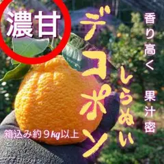 ◯お得な９kg 熊本産不知火デコポン 味恋みかん 超人気(^o^)