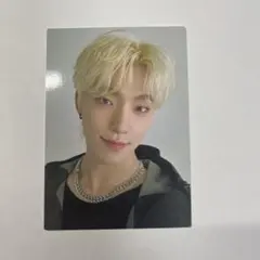 SEVENTEENディノトレカ follow to japan