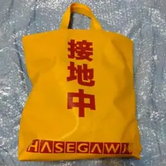 アースフックセット　Ｈ型　HASEGAWA