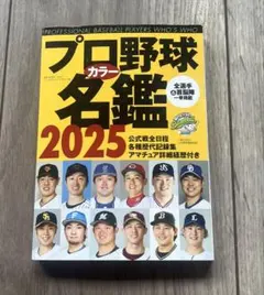 Item thumbnail for item b2cf3925-0b49-49ff-8668-7b3efecd0332