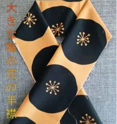 Item thumbnail for item 19f953af-0320-47c7-bda7-cee844fdc2d2