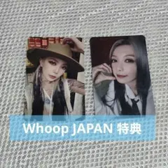 Dreamcatcher ダミ Whoop