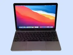 M8639 Apple MacBook Retina 2017 12インチ