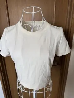 Rady バックレースアップ クロップド丈 Tシャツ ホワイトのサムネイル