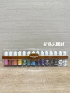 Luminous Tone レジン用着色剤 14本セット