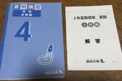 2026年最新】四谷大塚 夏期講習 4年の人気アイテム - メルカリ