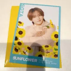 中島颯太 アクリルスタンド フォトカード シークレット セット - メルカリ