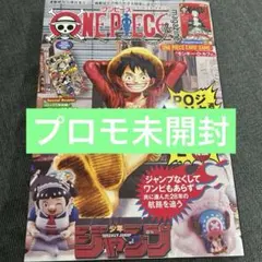 ONE PIECE ワンピースマガジン　20号 プロモカード付き 新品