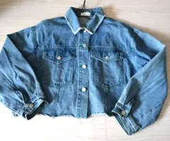 Item thumbnail for item 48a726e5-c396-43c1-a998-76a49336b996