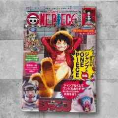 【即日発送】ONE PIECE ワンピースマガジン vol.20 ルフィ未使用