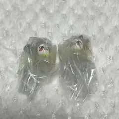 skzoo Jiniret ジニレット めじるしアクセサリー ガチャ