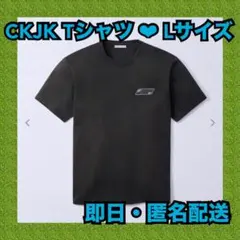 CKJK ジョングク CalvinKlein ロゴバッジTシャツ XL ブラック - メルカリ