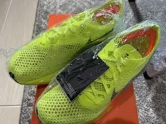 Item thumbnail for item 89a690d9-eea6-454b-95ed-95a64c6127e3