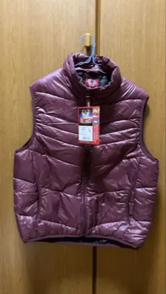 Item thumbnail for item 4983b39b-355e-43b1-9ec1-572424e5862a