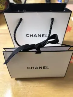 CHANEL 紙袋セット 小・大 2点セット CHANEL リップ 紙袋