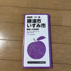 千葉県 勝浦市、いすみ市、御宿町、大多喜町、地図(1:32,000)