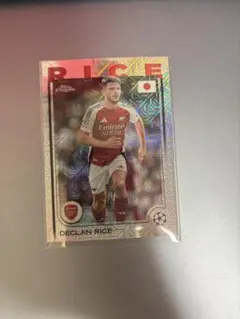 Item thumbnail for item 938e4361-70a4-41c6-93b8-f4ede2d0b6d6