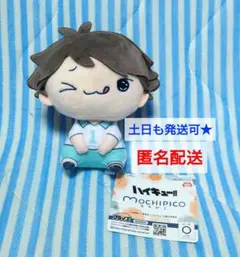 及川徹　もちぴこぬいぐるみ　ハイキュー!!
