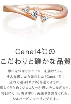 【ジャンク品】CANAL 4℃ 公式 シルバーピンキーリング 6号 1つ石なしのサムネイル