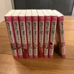 総長さま、溺愛中につき。 小説1巻〜9巻セット