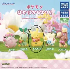 ポケモン ぽかぽかびより2 ピカチュウ