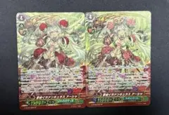 2026年最新】夢紡ぐラナンキュラス アーシャ SPの人気アイテム