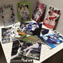 プロ野球チップス　プロ野球チップスカード11枚
