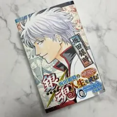 銀魂 キャラクターリミックス　坂田銀時の人生を読む! 空知英秋初版　一読のみ美品