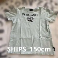 美品⭐︎TeddyBear x SHIPS ミントグリーン Tシャツ　150cmのサムネイル