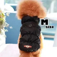 Item thumbnail for item 65745ff8-147e-4858-b8cd-b51ddafa59a7