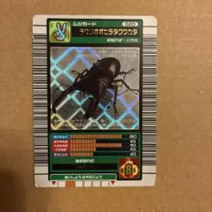 初期】ムシキング パラワンオオヒラタクワガタ 2003年夏summer - メルカリ
