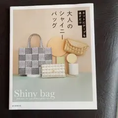 大人のシャイニーバッグ ネットにテープを通すだけ　ハマナカ　カゴ