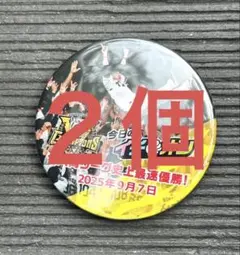 阪神タイガース　イチオシ缶バッジ　優勝#2....2