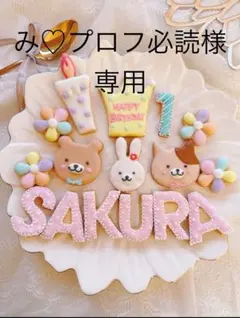 アイシングクッキーみ♡プロフ必読様専用