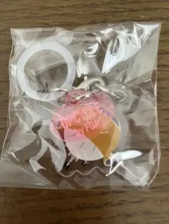 FDAアップサイクル目印アクセサリー 9号機ゴールド