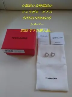 ☆新品☆未使用品☆フェラガモ ピアス シルバー【STUD STRAS12】